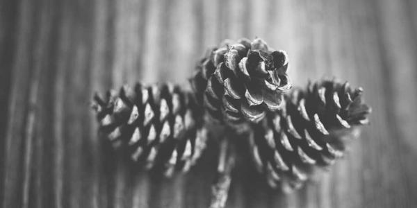 Fashion - Pakaian & Aksesoris